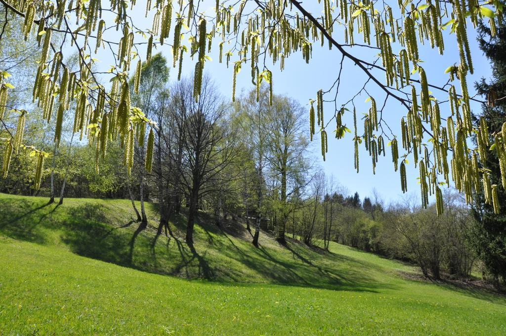 Affittacamere Rubino Guest House Ponte nellʼAlpi Kültér fotó